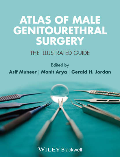 Скачать книгу Atlas of Male Genitourethral Surgery. The Illustrated Guide