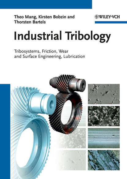 Скачать книгу Industrial Tribology. Tribosystems, Friction, Wear and Surface Engineering, Lubrication
