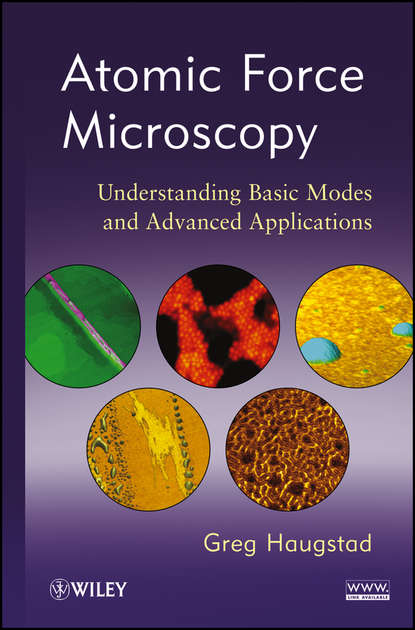 Скачать книгу Atomic Force Microscopy. Understanding Basic Modes and Advanced Applications