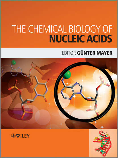 Скачать книгу The Chemical Biology of Nucleic Acids