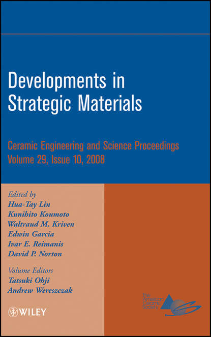 Скачать книгу Developments in Strategic Materials