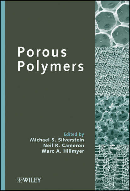 Скачать книгу Porous Polymers