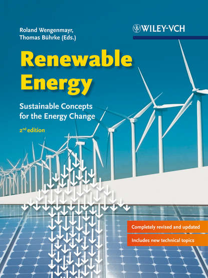 Скачать книгу Renewable Energy. Sustainable Energy Concepts for the Energy Change