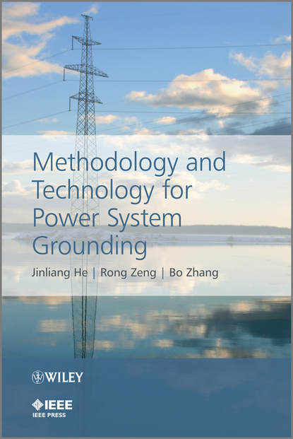 Скачать книгу Methodology and Technology for Power System Grounding