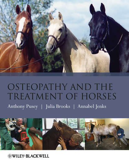 Скачать книгу Osteopathy and the Treatment of Horses