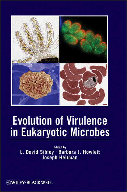 Скачать книгу Evolution of Virulence in Eukaryotic Microbes