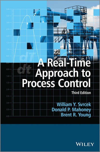 Скачать книгу A Real-Time Approach to Process Control