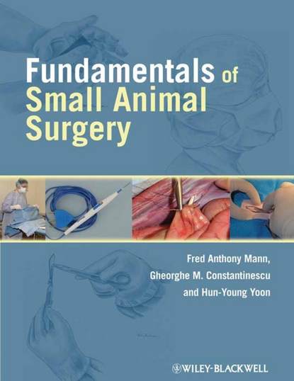 Скачать книгу Fundamentals of Small Animal Surgery