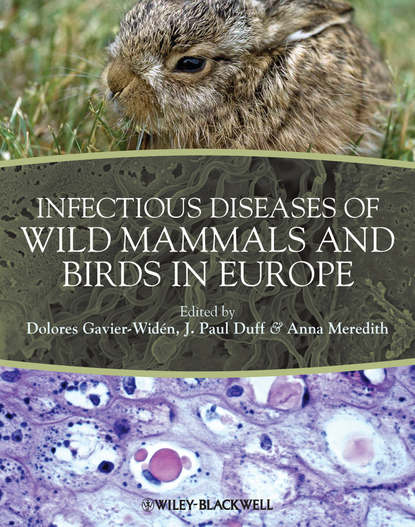 Скачать книгу Infectious Diseases of Wild Mammals and Birds in Europe