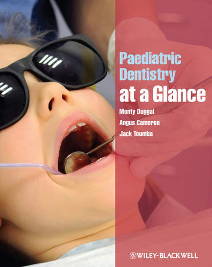 Скачать книгу Paediatric Dentistry at a Glance