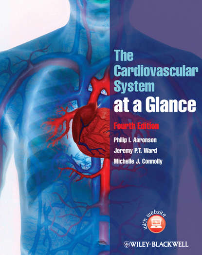 Скачать книгу The Cardiovascular System at a Glance