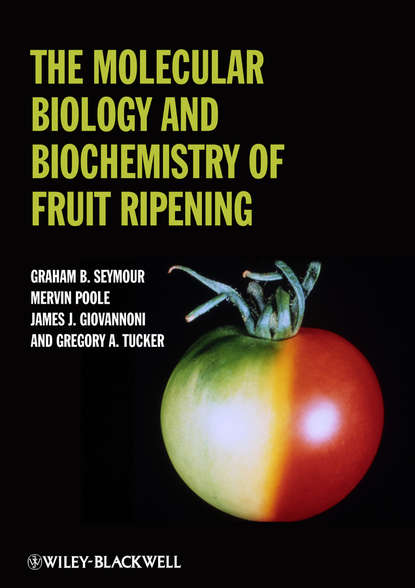 Скачать книгу The Molecular Biology and Biochemistry of Fruit Ripening