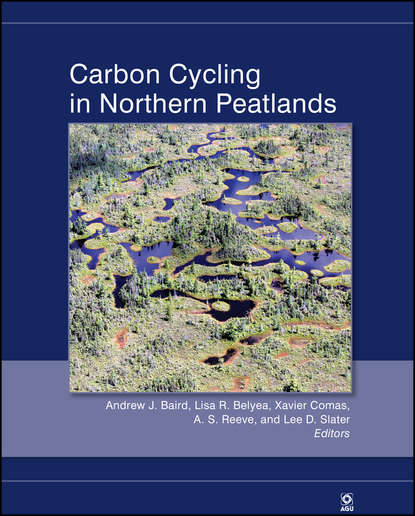 Скачать книгу Carbon Cycling in Northern Peatlands