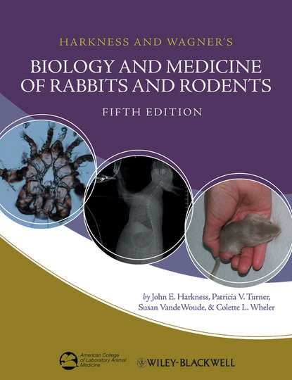 Скачать книгу Harkness and Wagner's Biology and Medicine of Rabbits and Rodents