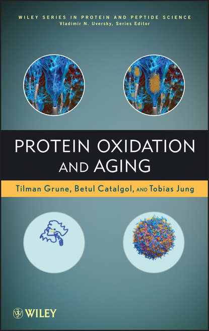 Скачать книгу Protein Oxidation and Aging