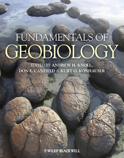 Скачать книгу Fundamentals of Geobiology