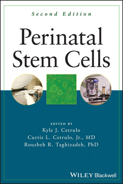 Скачать книгу Perinatal Stem Cells
