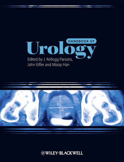 Скачать книгу Handbook of Urology