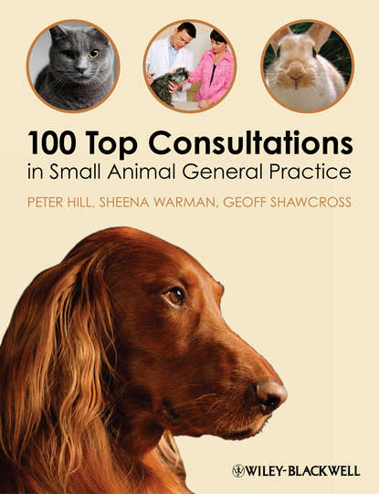 Скачать книгу 100 Top Consultations in Small Animal General Practice