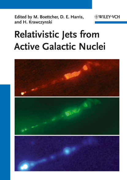 Скачать книгу Relativistic Jets from Active Galactic Nuclei