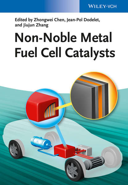 Скачать книгу Non-Noble Metal Fuel Cell Catalysts