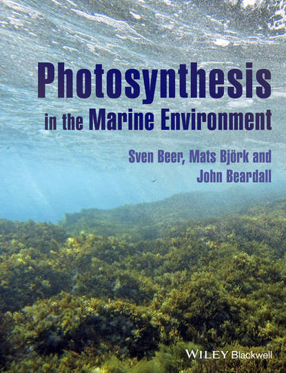 Скачать книгу Photosynthesis in the Marine Environment