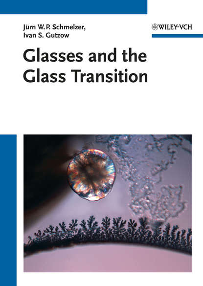 Скачать книгу Glasses and the Glass Transition
