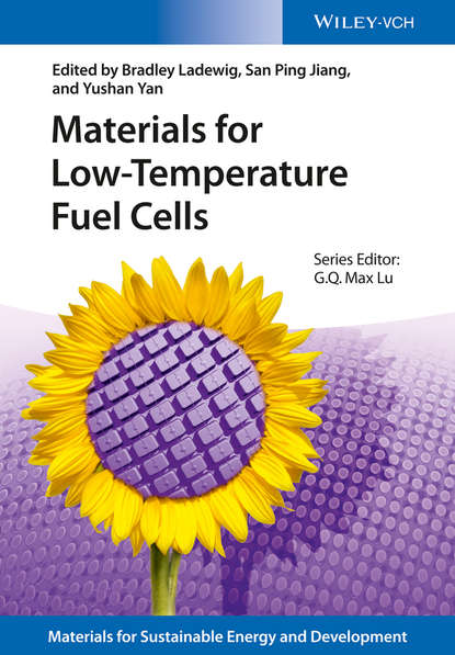 Скачать книгу Materials for Low-Temperature Fuel Cells