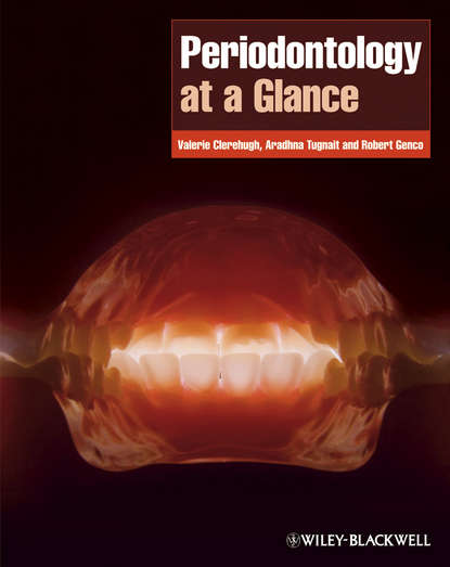 Скачать книгу Periodontology at a Glance