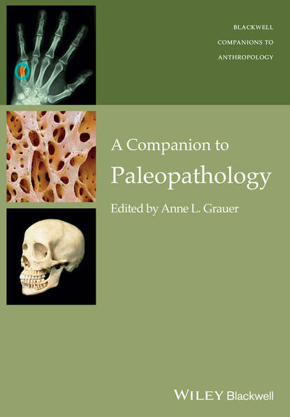 Скачать книгу A Companion to Paleopathology