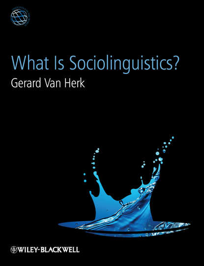 Скачать книгу What Is Sociolinguistics?