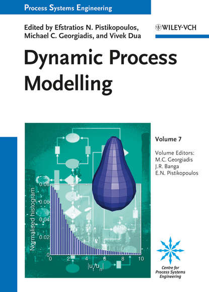Скачать книгу Dynamic Process Modeling
