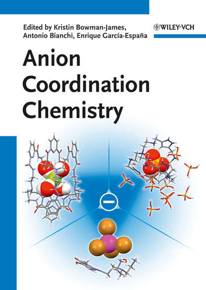 Скачать книгу Anion Coordination Chemistry