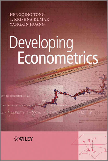 Скачать книгу Developing Econometrics