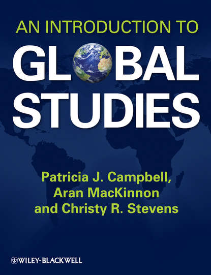 Скачать книгу An Introduction to Global Studies