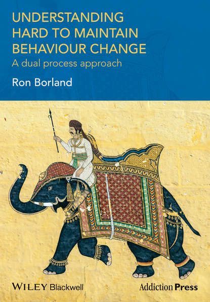 Скачать книгу Understanding Hard to Maintain Behaviour Change. A Dual Process Approach