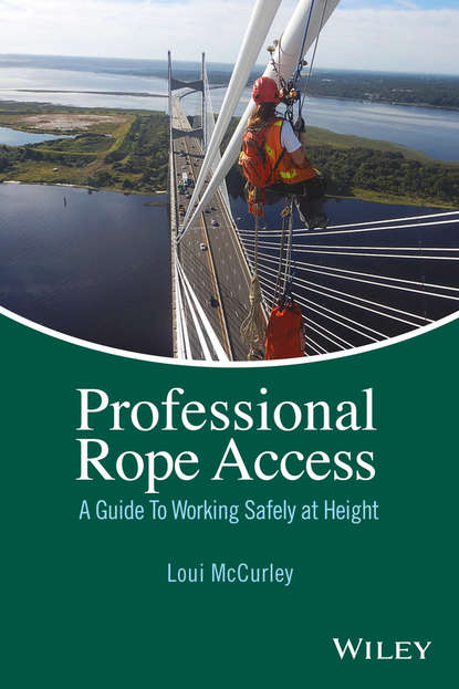 Скачать книгу Professional Rope Access. A Guide To Working Safely at Height