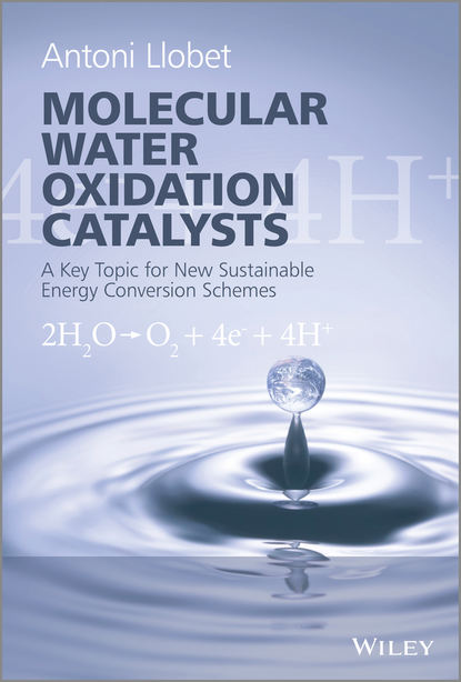 Скачать книгу Molecular Water Oxidation Catalysis. A Key Topic for New Sustainable Energy Conversion Schemes