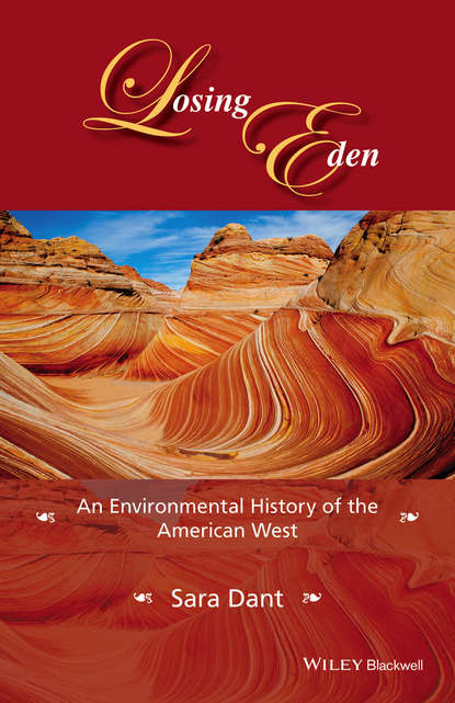 Скачать книгу Losing Eden. An Environmental History of the American West