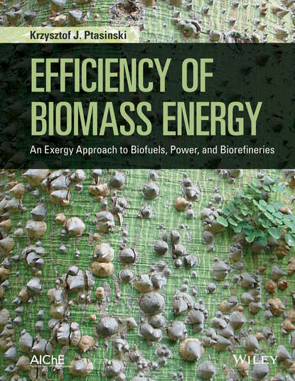 Скачать книгу Efficiency of Biomass Energy. An Exergy Approach to Biofuels, Power, and Biorefineries