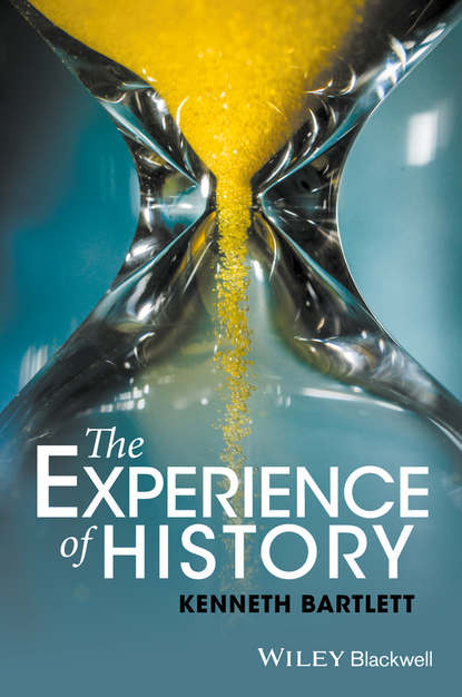 Скачать книгу The Experience of History. An Introduction to History