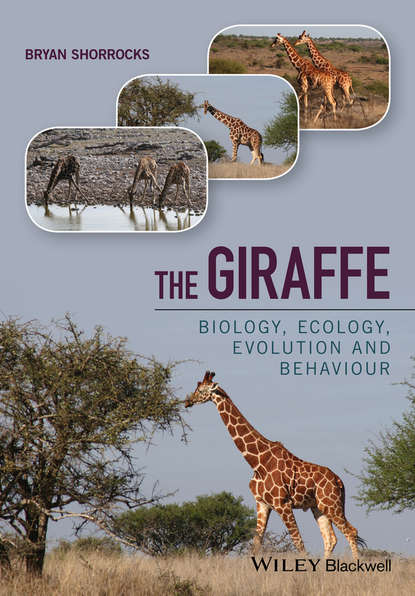 Скачать книгу The Giraffe. Biology, Ecology, Evolution and Behaviour