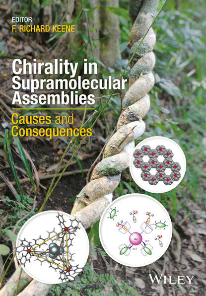 Скачать книгу Chirality in Supramolecular Assemblies. Causes and Consequences