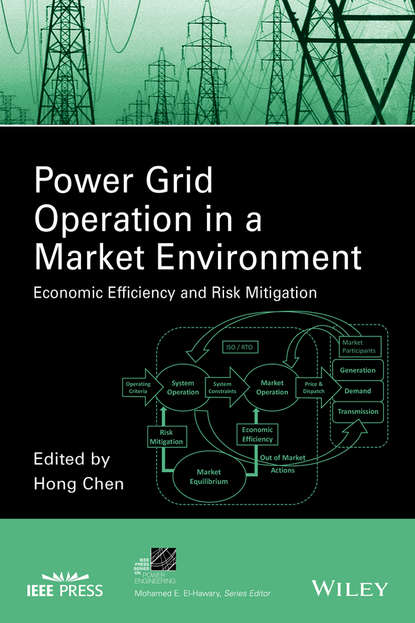 Скачать книгу Power Grid Operation in a Market Environment. Economic Efficiency and Risk Mitigation