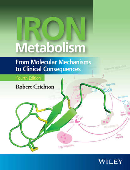 Скачать книгу Iron Metabolism. From Molecular Mechanisms to Clinical Consequences