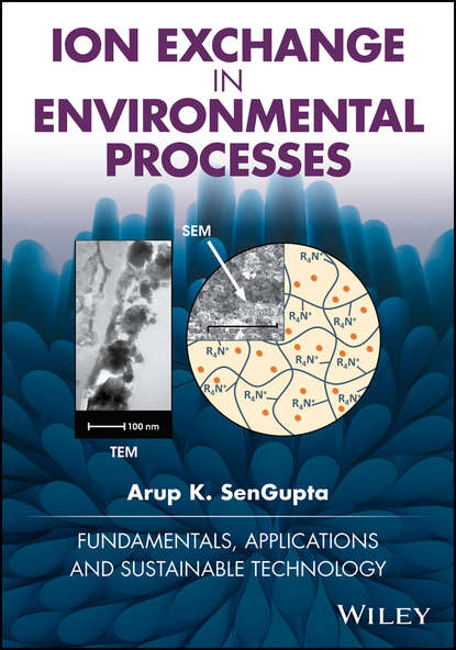 Скачать книгу Ion Exchange in Environmental Processes. Fundamentals, Applications and Sustainable Technology