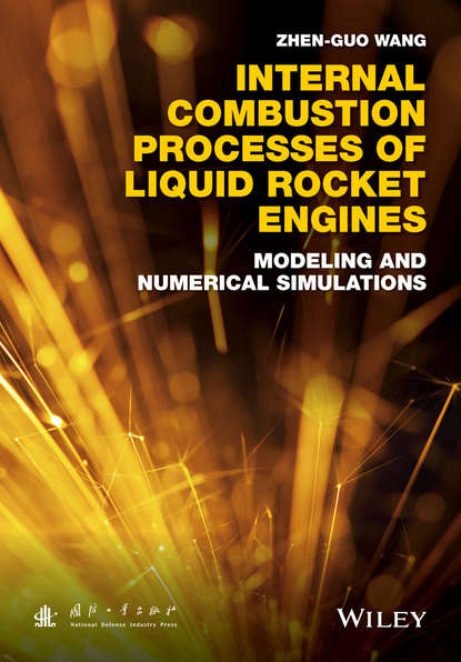 Скачать книгу Internal Combustion Processes of Liquid Rocket Engines. Modeling and Numerical Simulations