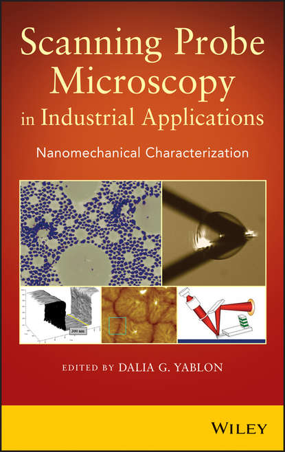 Скачать книгу Scanning Probe Microscopy for Industrial Applications. Nanomechanical Characterization