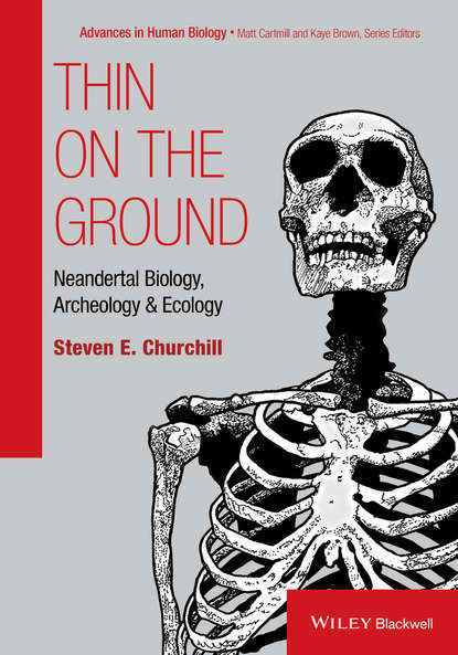 Скачать книгу Thin on the Ground. Neandertal Biology, Archeology and Ecology