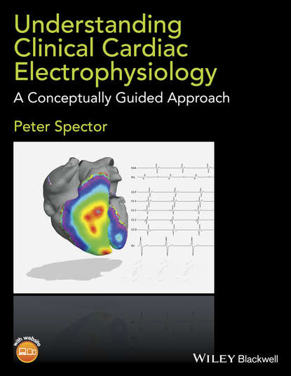 Скачать книгу Understanding Cardiac Electrophysiology. A Conceptually Guided Approach